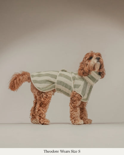 Peignoir pour chien à rayures matcha