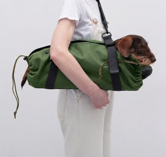 Sac de transport pour teckel - Modèle City
