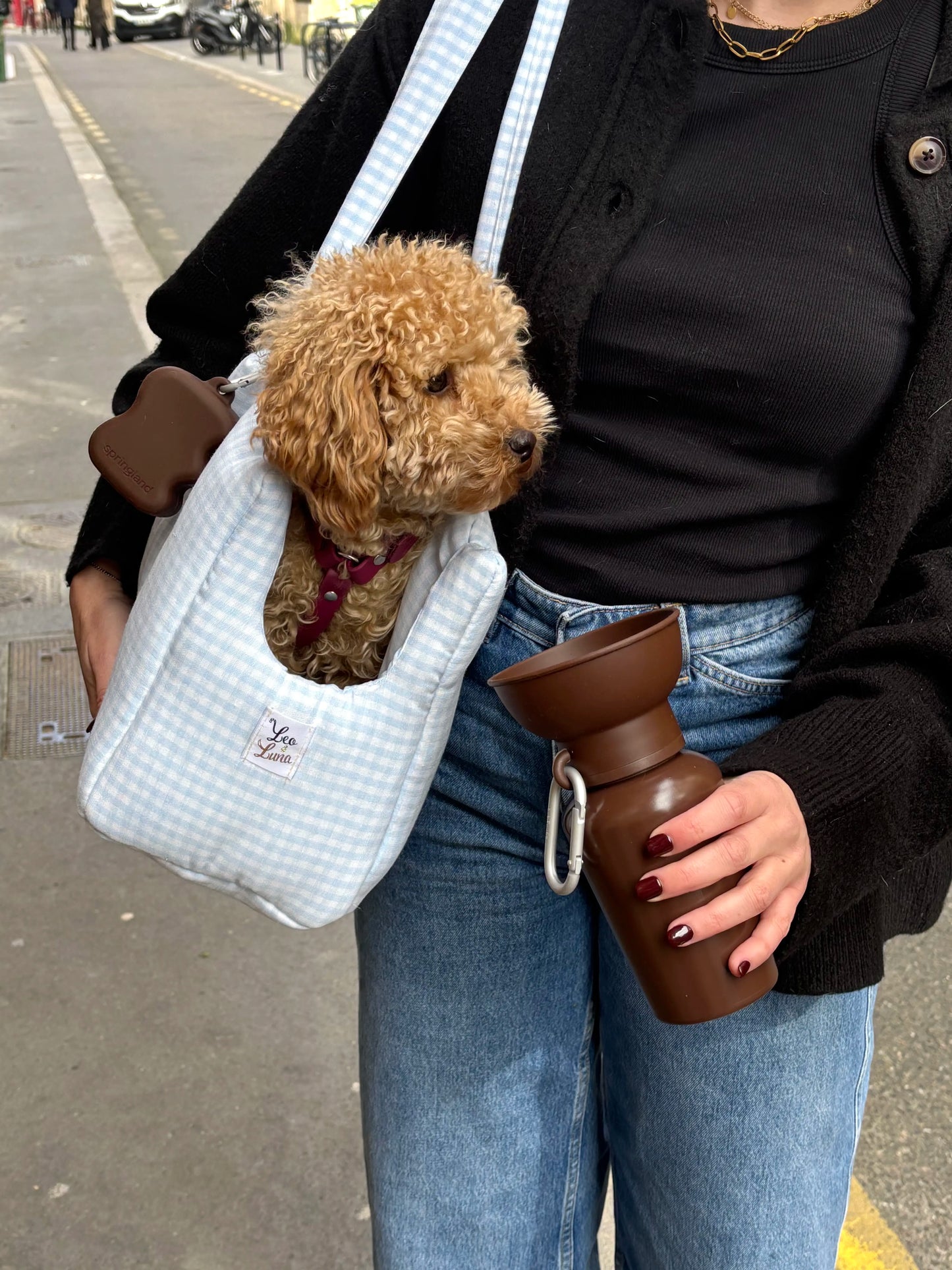 Sac de transport vichy bleu pastel