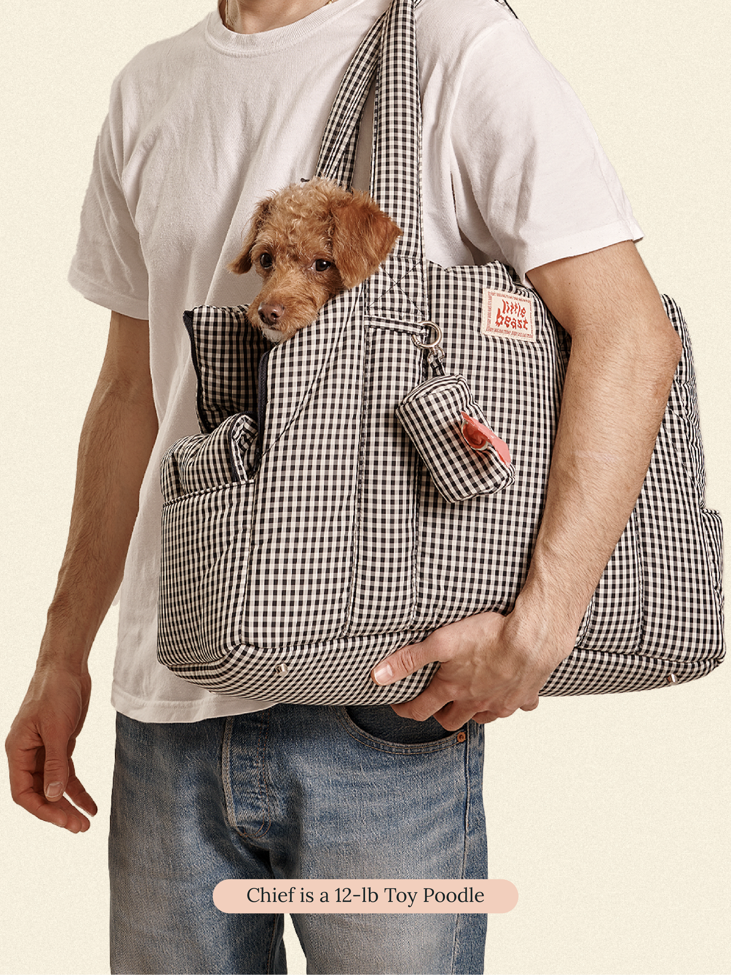 sac-transport-chien