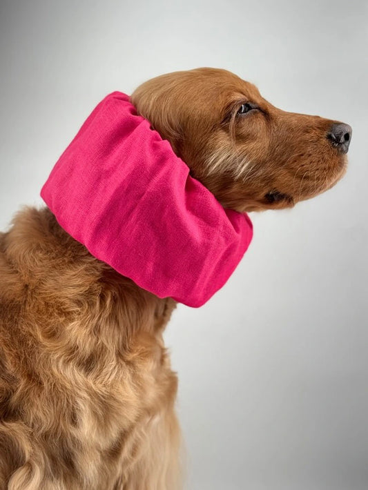Concept store pour chien Bordeaux | Toilettage, Services & Accessoires ...