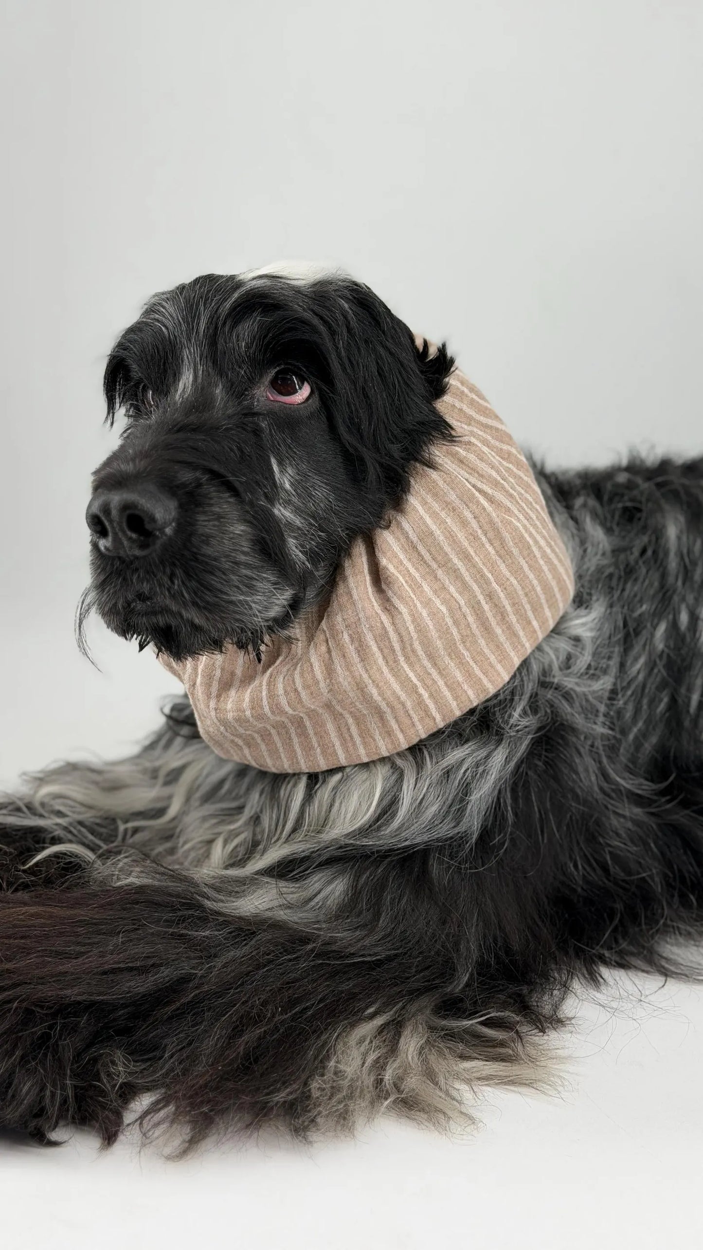 Snood beige à rayures en coton