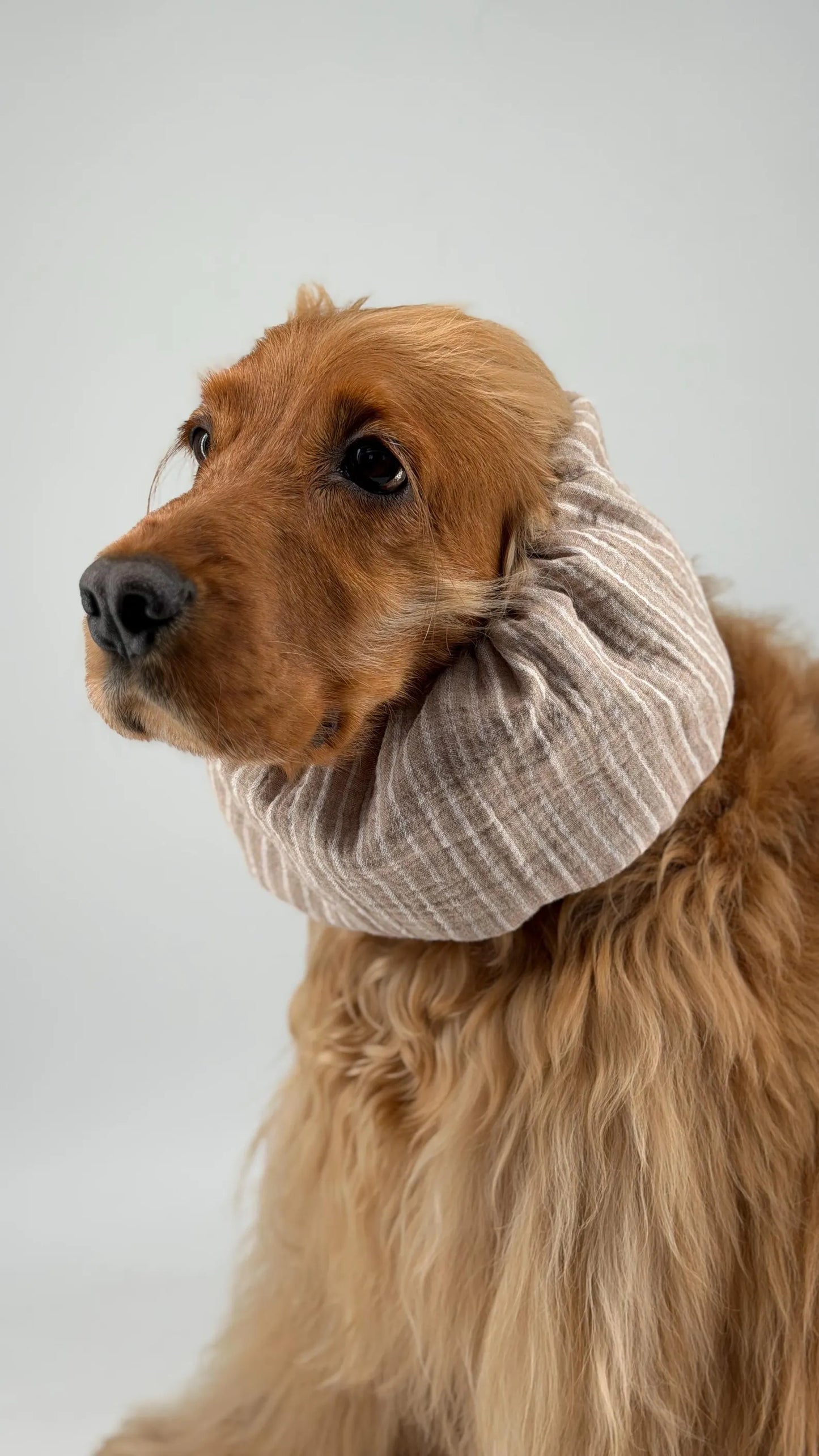 Snood beige à rayures en coton
