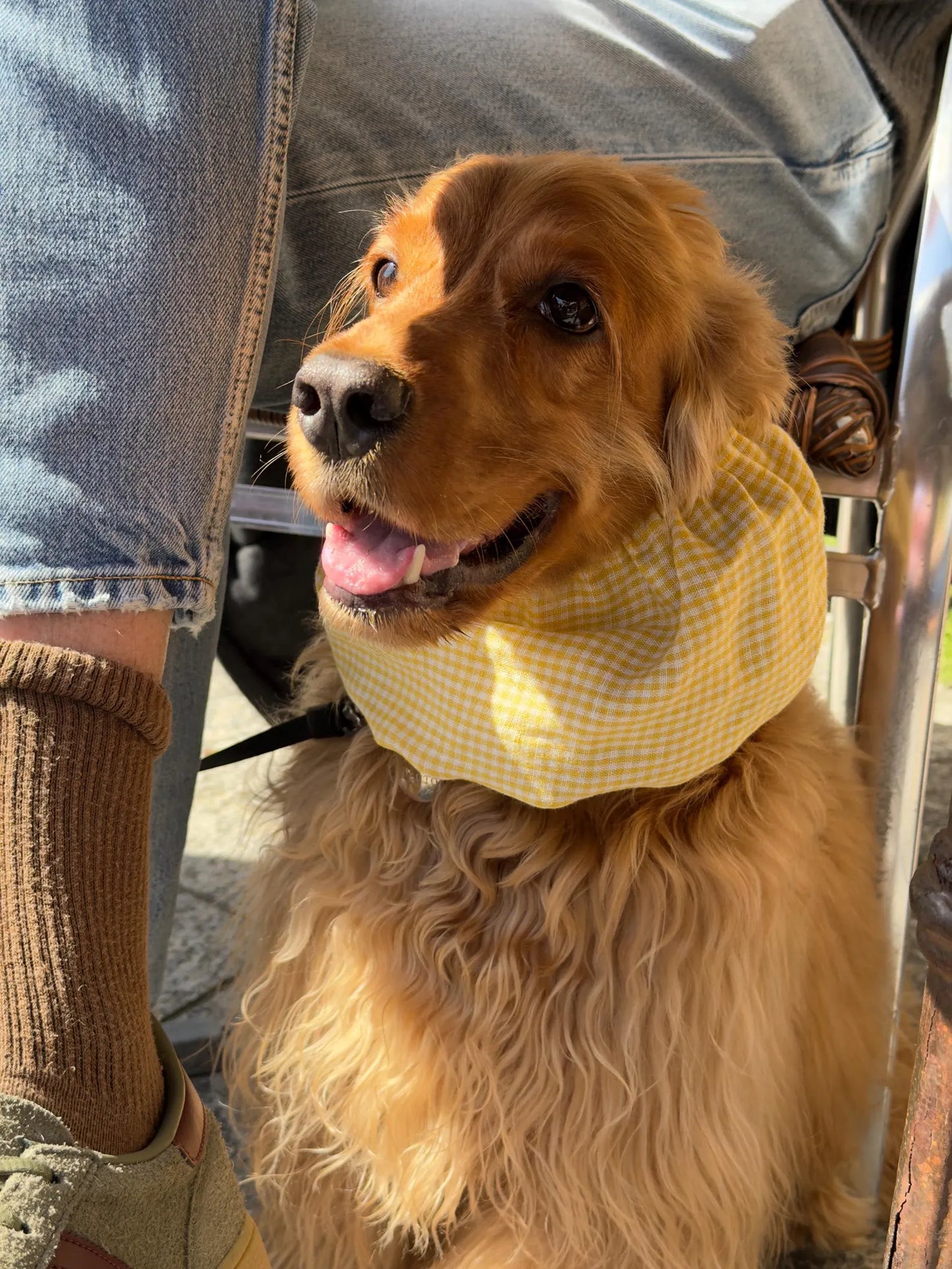 Snood vichy jaune en lin