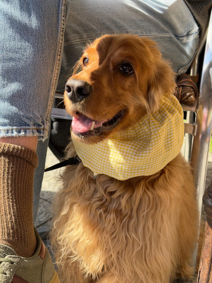 Snood vichy jaune en lin