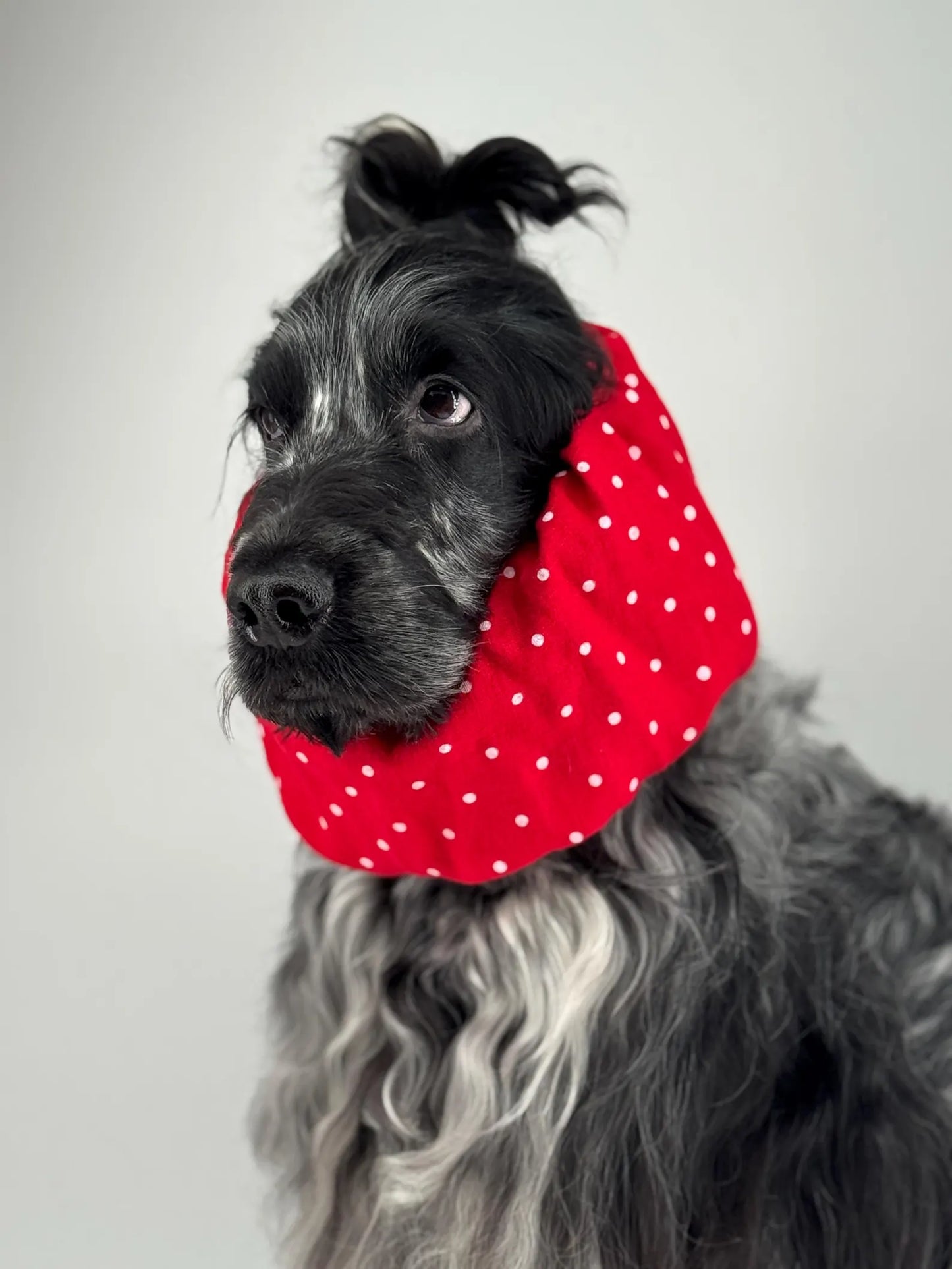 Snood rouge à pois