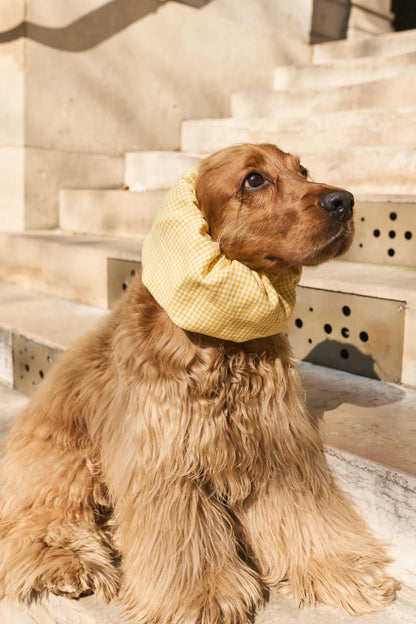Snood vichy jaune en lin