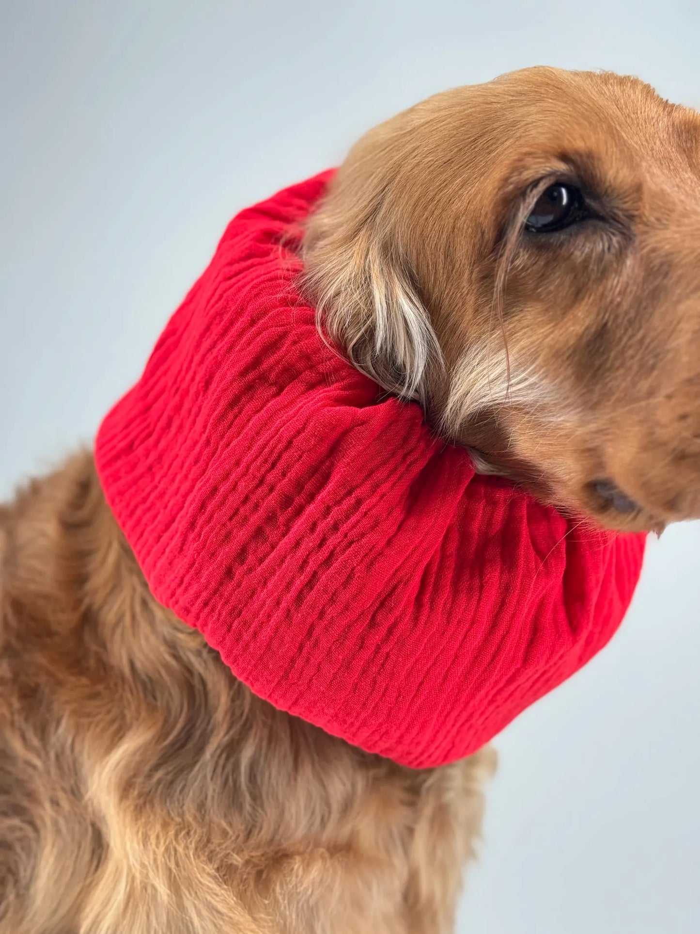 Red cotton snood