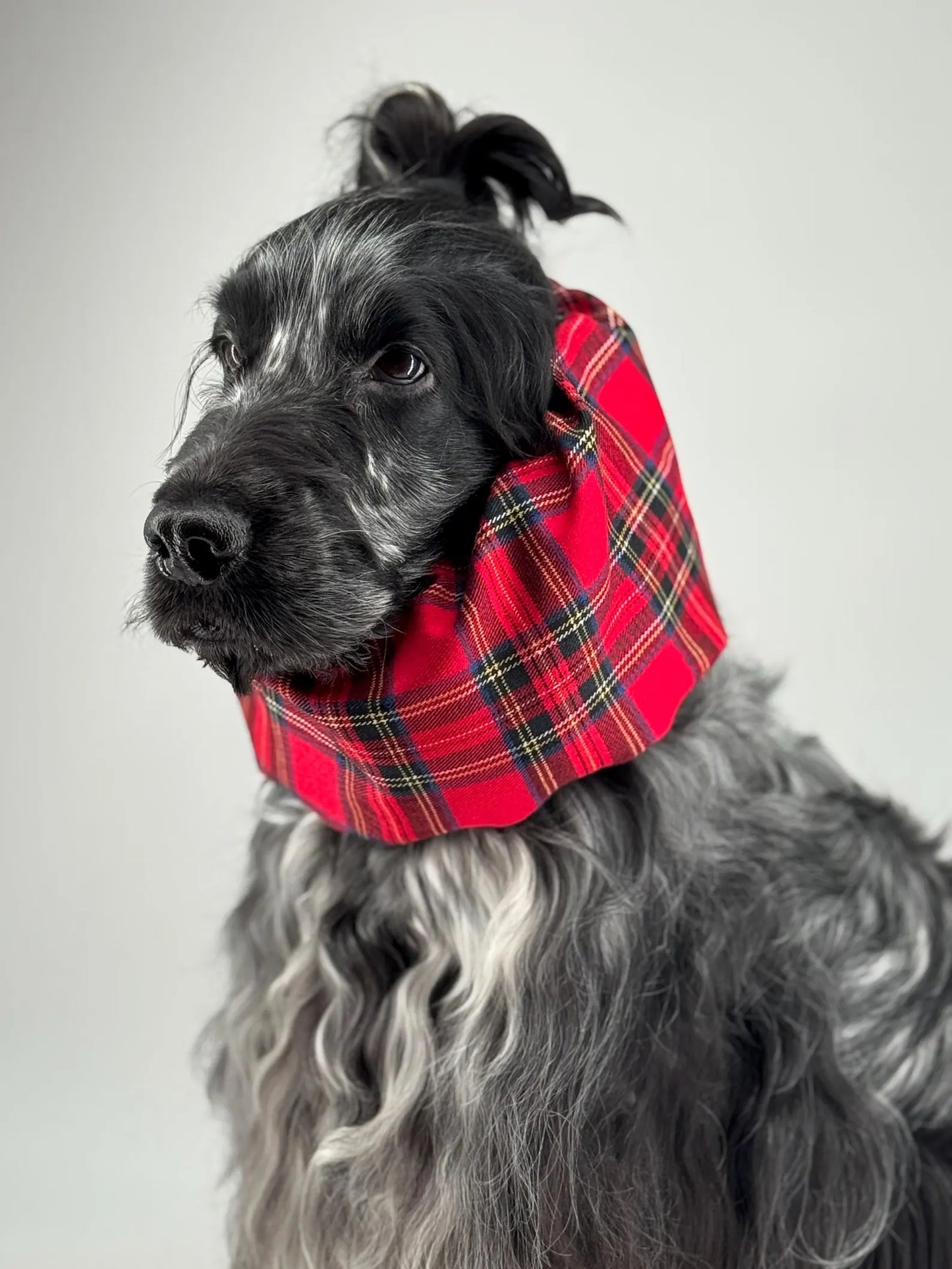 Snood en flanelle tartan rouge