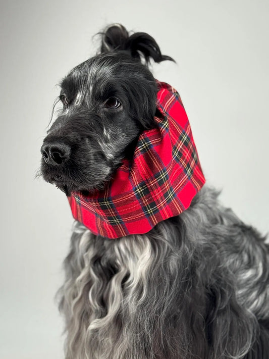 Snood en flanelle tartan rouge