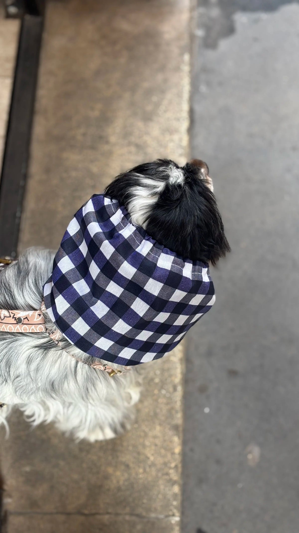 Snood imperméable vichy bleu
