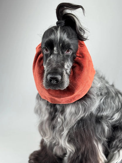 Snood velours côtelé Rouille