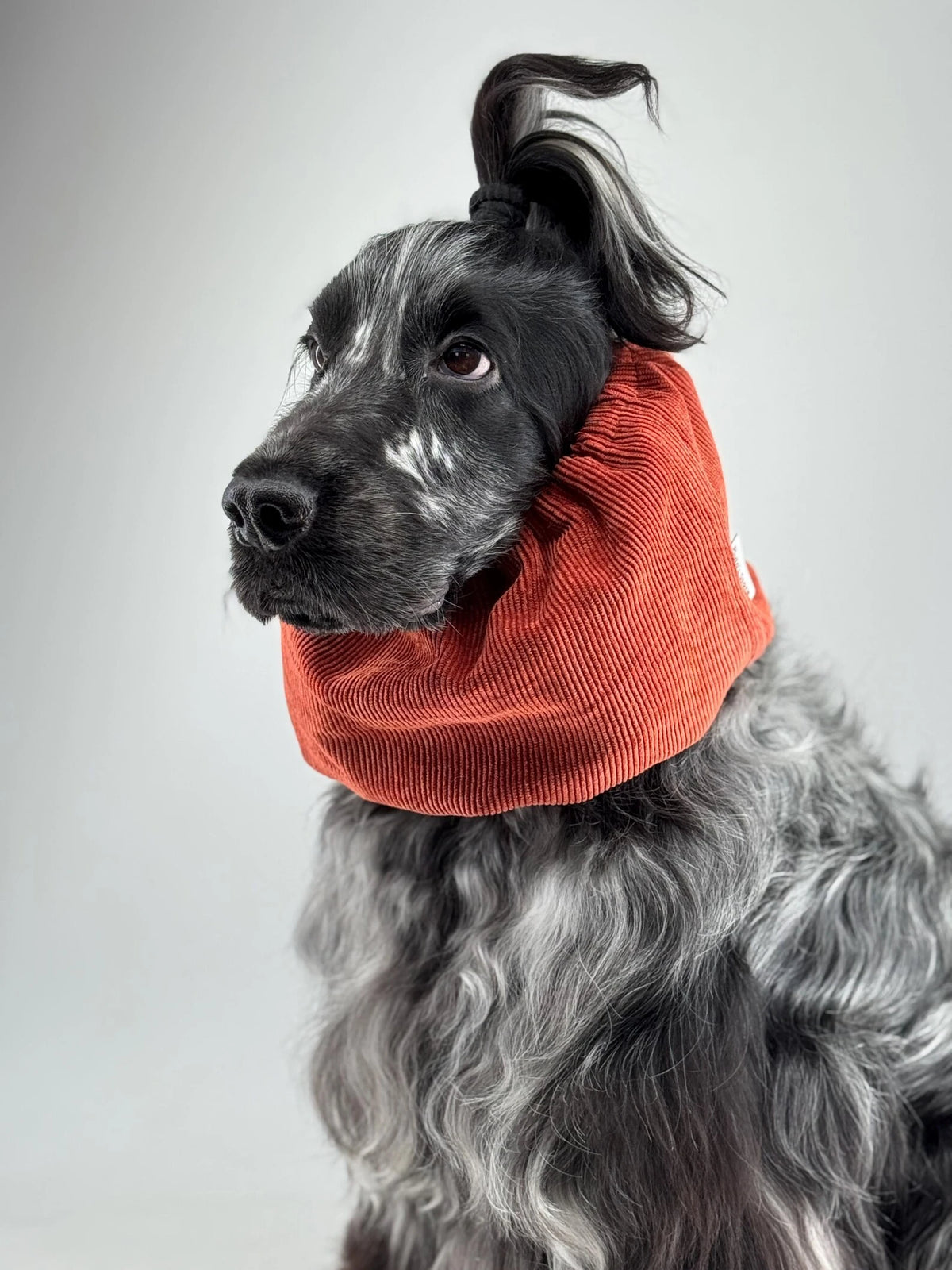 Snood velours côtelé Rouille