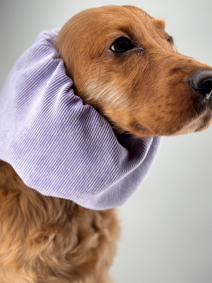 Snood velours côtelé lilas