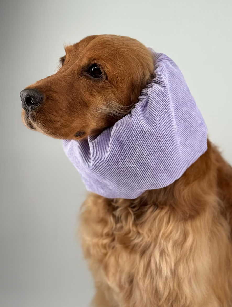 Snood velours côtelé lilas