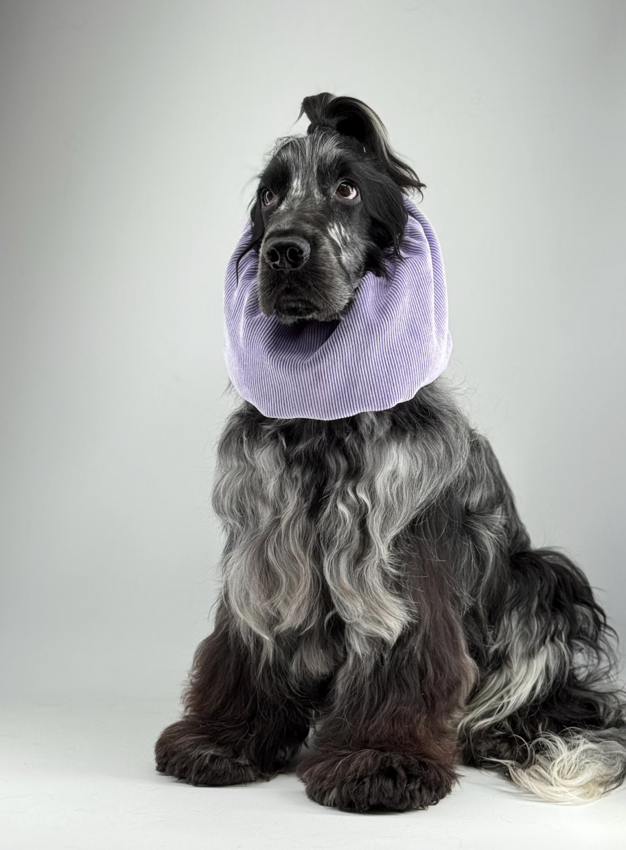 Snood velours côtelé lilas