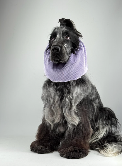 Snood velours côtelé lilas