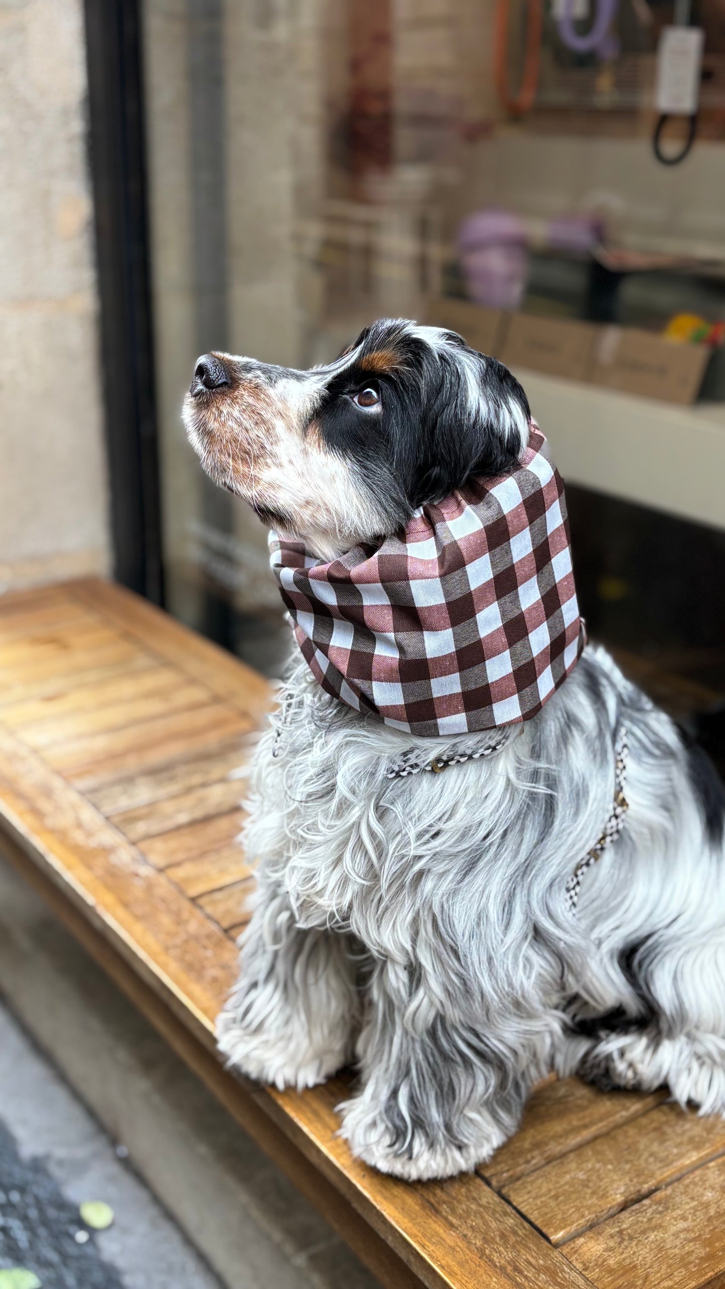 Snood imperméable à carreaux