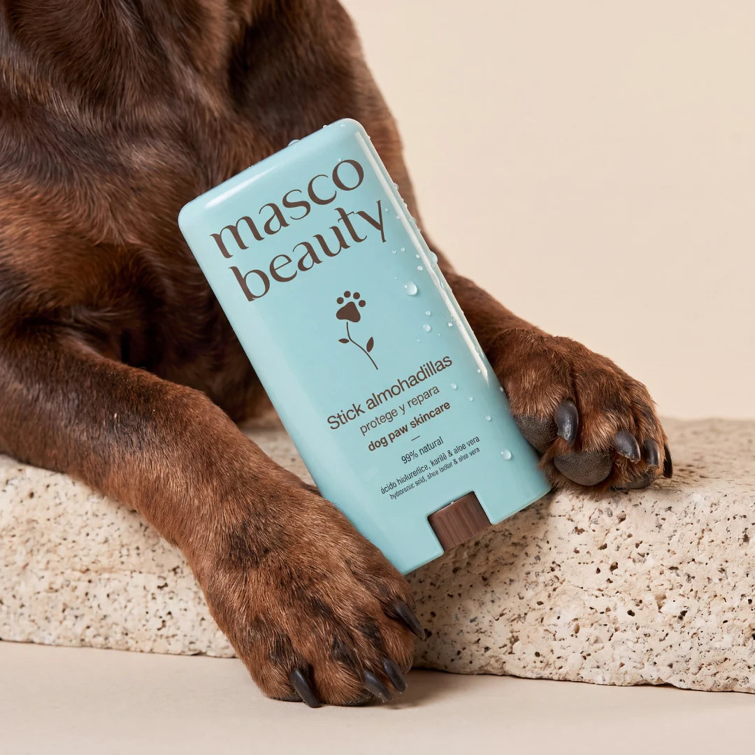 Stick coussinets pour chien