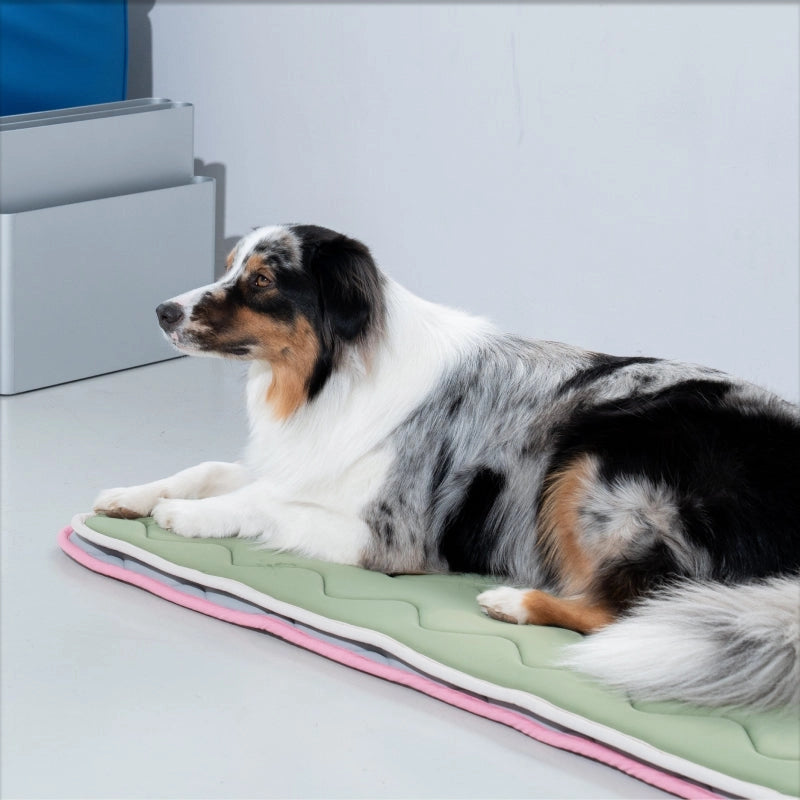 Tapis rafraichissant à mémoire de forme