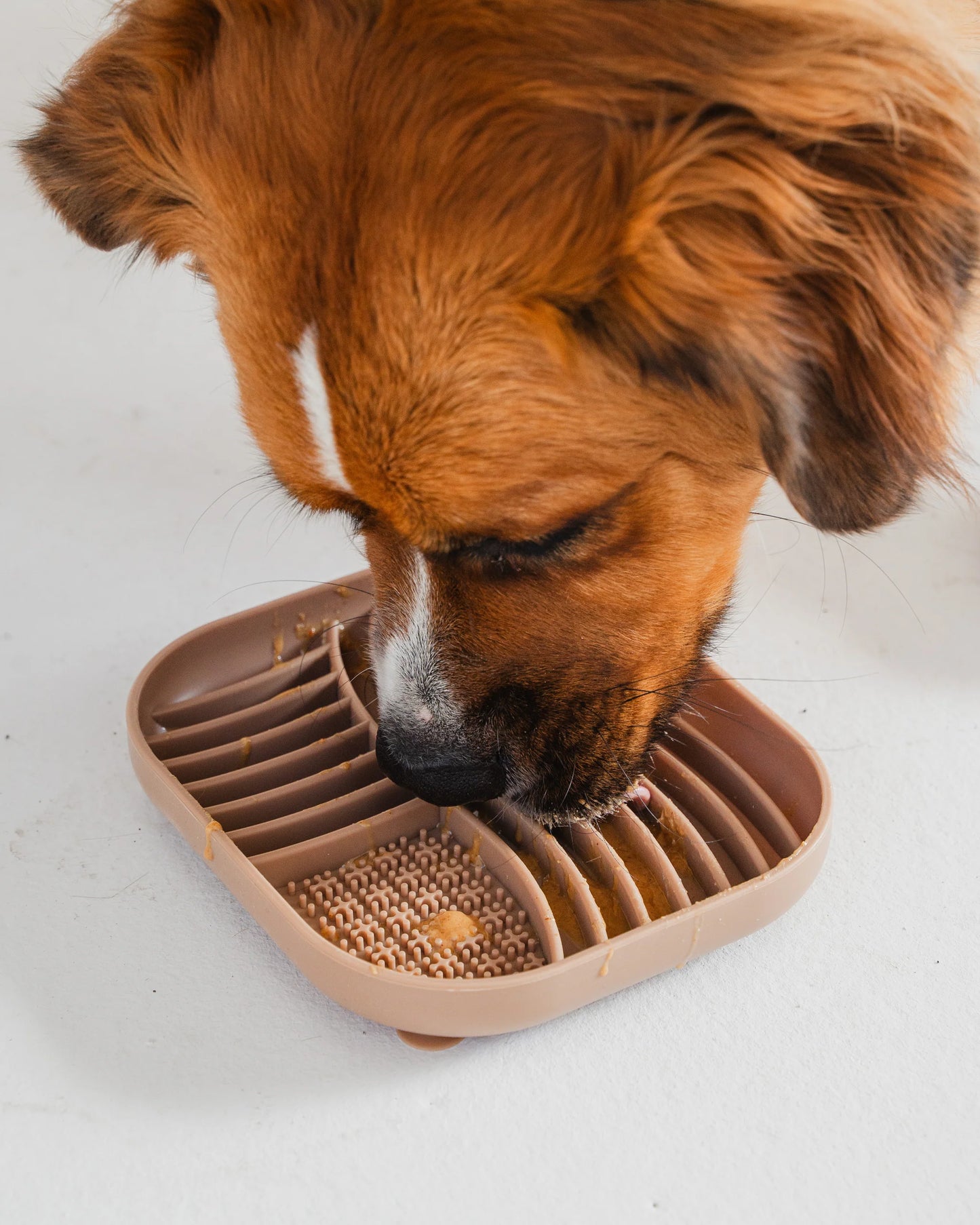 Tapis de léchage marron
