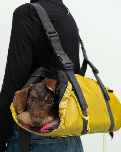Dachshund carrier bag - Backpack model
