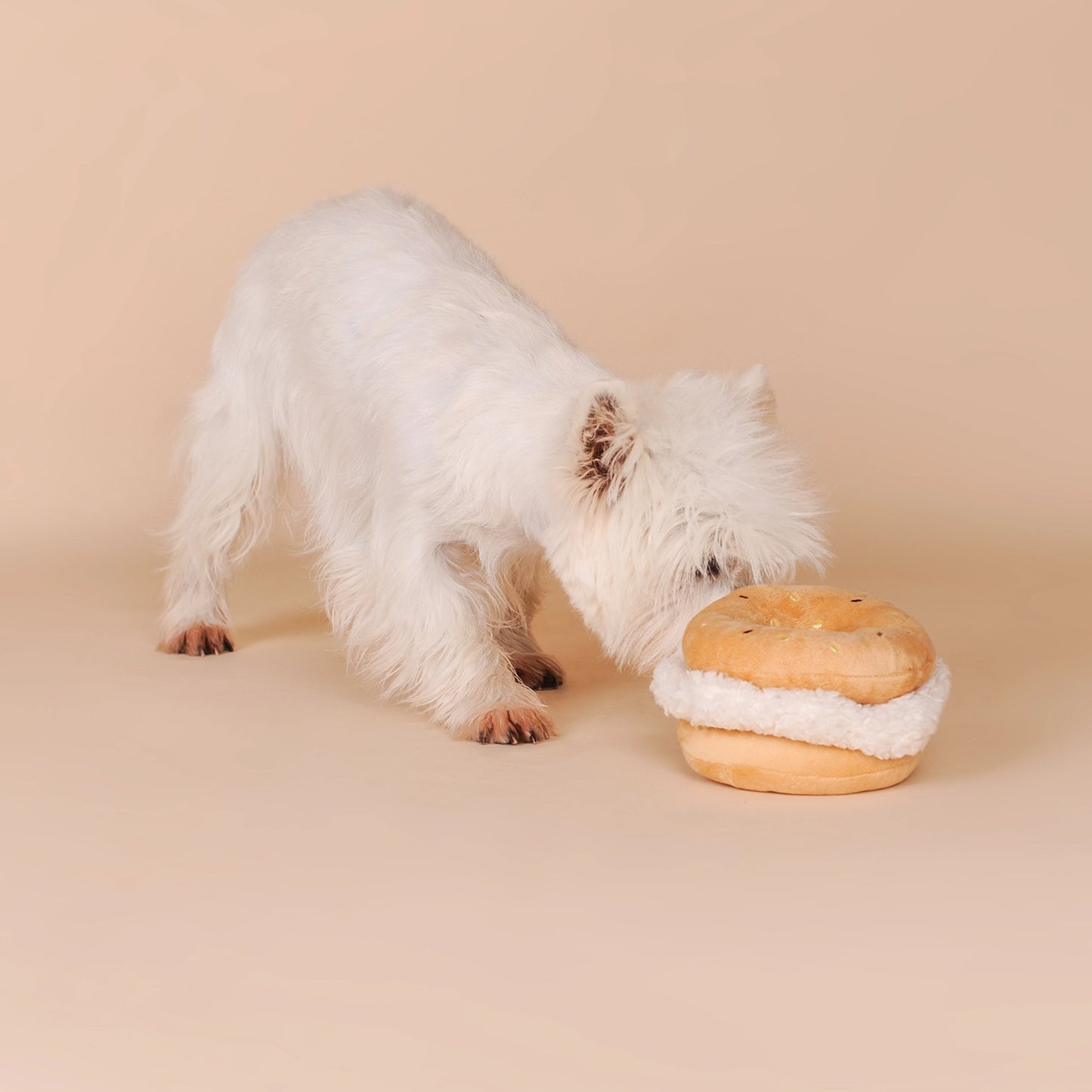 Jouet de fouille bagel
