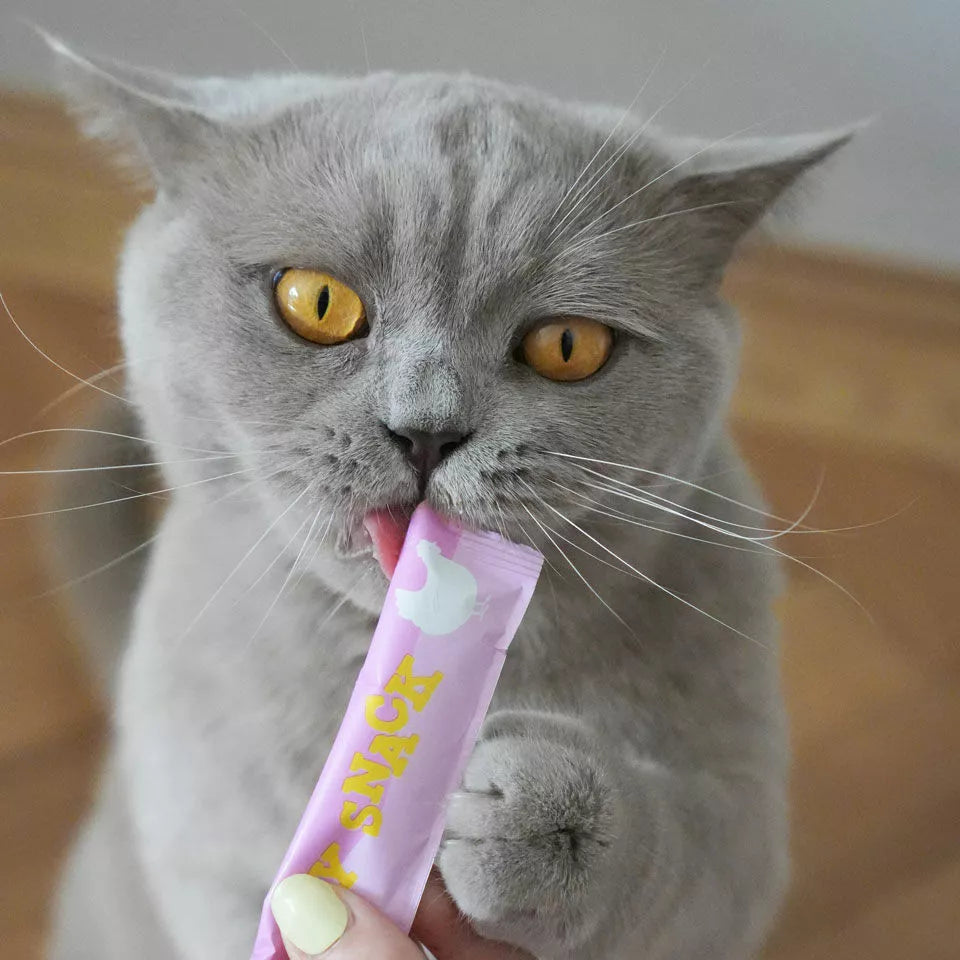 Creamy chicken cat snack