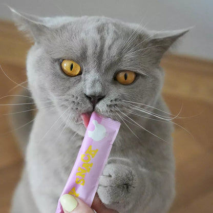 Creamy chicken cat snack