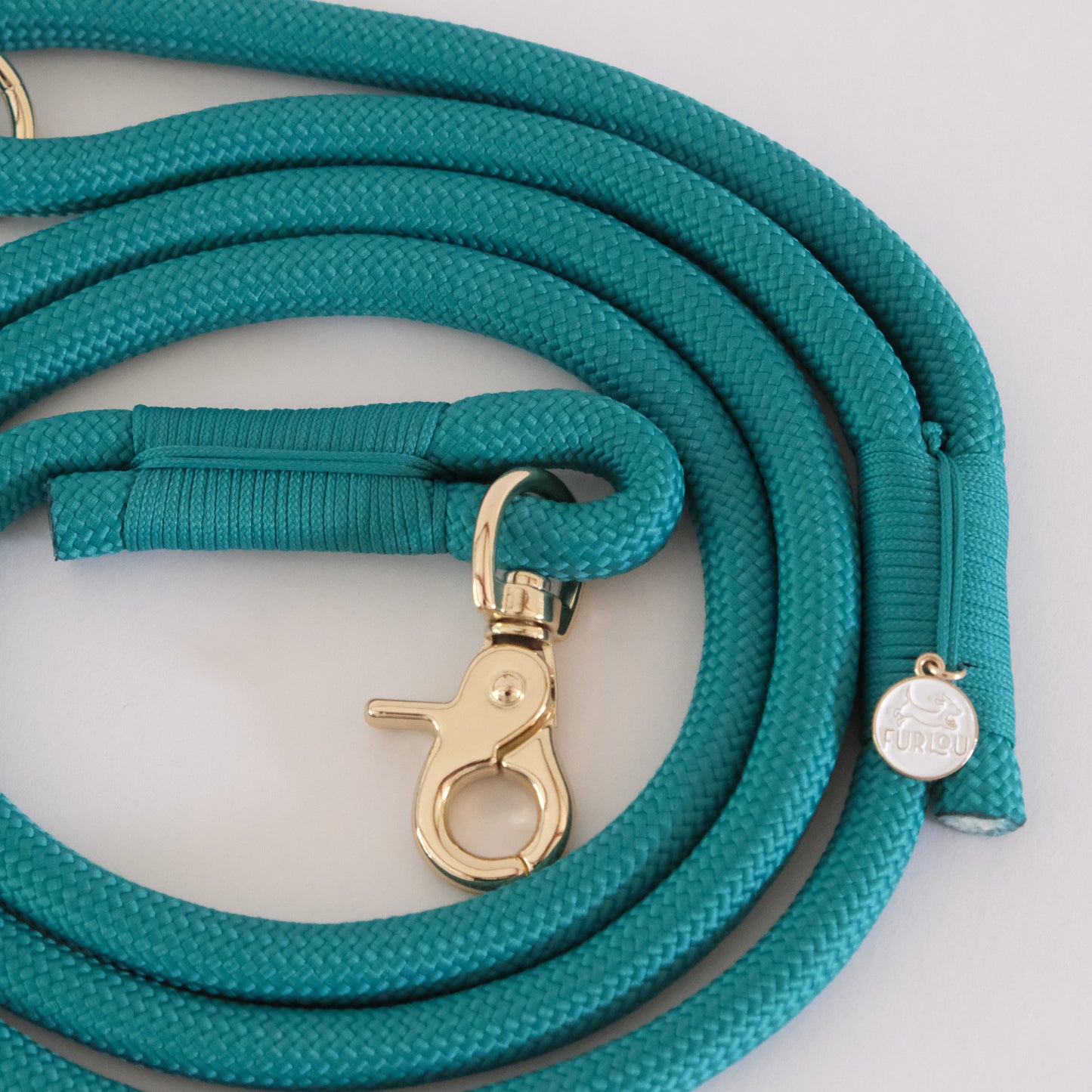 Teal Nylon Leash