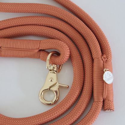 Terracotta nylon leash