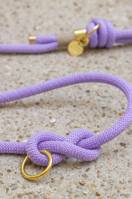 Laisse mains-libres en corde Lilas