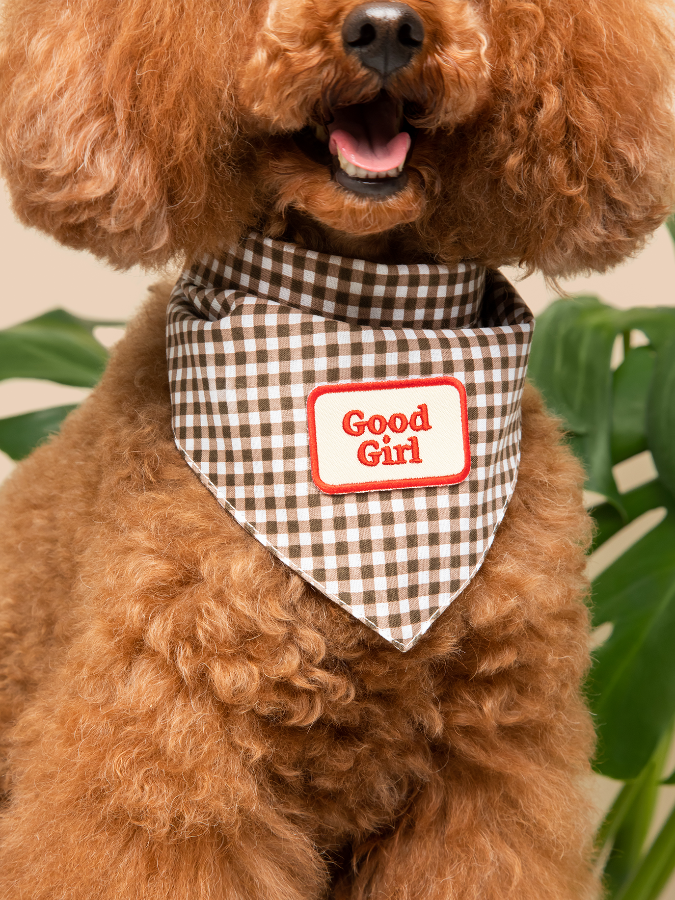 écusson-thermocollant-chien-bandana-nugget