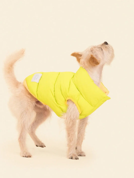 doudoune-manteau-chien-nugget-bordeaux