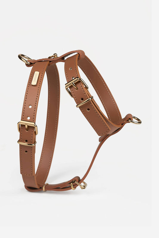 Leather harness